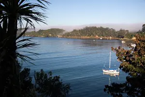Glassy: Steward Island, New Zealand. Overlooking