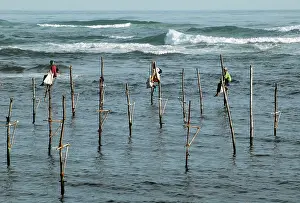 Stilts: Stilt fishermen in southern Sri Lanka