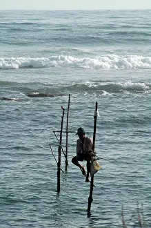 Stilts: Stilt fishermen in southern Sri Lanka