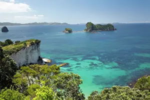 Stingray: Stingray Bay, near Cathedral Cove, Coromandel