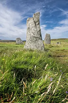 Megalithic: Stone formation of the megalithic culture, site