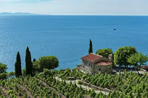 Estate: Stone house between vineyards, overlooking the sea