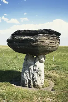 Differential: Stone Mushroom