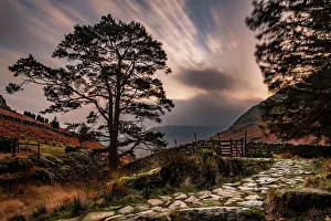 Cumbria: Stone path with trees and hilly landscape with dramatic