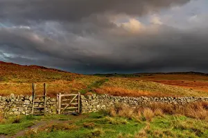 Northumberland: Stone wall in autumn landscape with dark sky, Greenhead