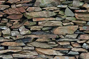Snowdon: Stone Wall Along Llanberis Path, Snowdonia