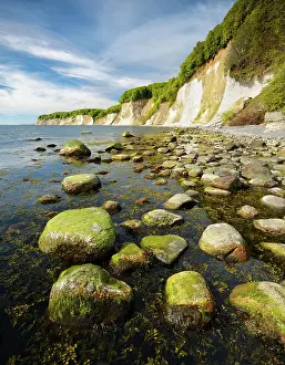 Algae: Stones with algae on the shore of the Baltic Sea