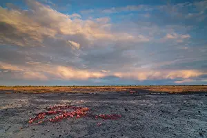 Alvaret: Stora Alvaret under a raincloud during sunset