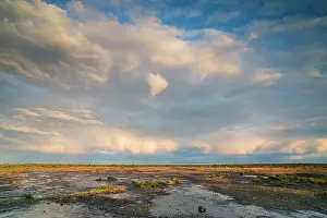 Alvaret: Stora Alvaret under a raincloud during sunset