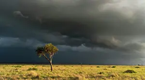 Severe: Storm over the Maasai Mara, Kenya, Africa