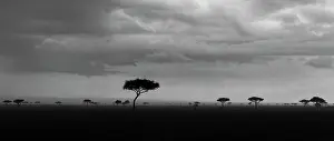 Severe: Storm with rain over the Maasai Mara, Kenya