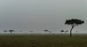Severe: Storm with rain over the Maasai Mara, Kenya