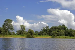 Negro: Stormclouds Over the Arasa Riverbank