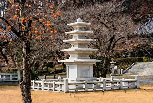 Multi: Five story pagoda in concrete enclosure in front