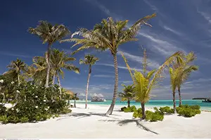 Indischer: Strand der Malediveninsel Kandooma, Sued Male Atoll