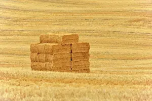Bales: Straw bales, harvested wheat fields, south of Montepulciano