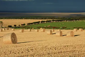 Straw bales -stormy autumn sky, looking south over