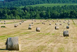 Bales: Straw bales in Tuscan field, Val d'Orcia