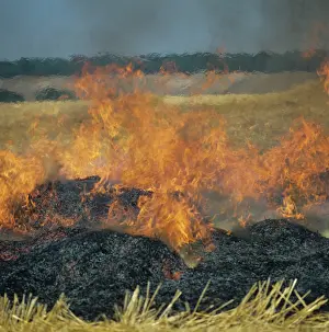 Practice: Straw Burning