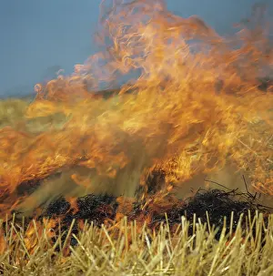 Practice: Straw Burning