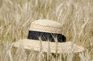 Wheat: Straw Hat on the Wheat Field