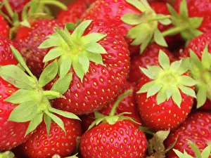 Strawberries: Strawberries