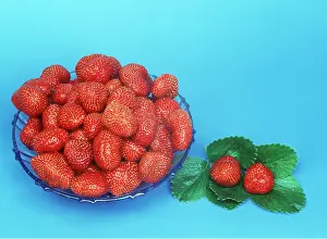 Strawberries: STRAWBERRIES - in bowl