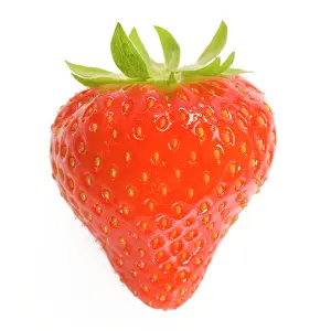 Strawberries: Strawberries - single in studio