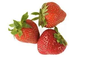 Strawberries: Strawberries - three in studio shot