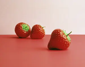 Ananassa: Strawberry