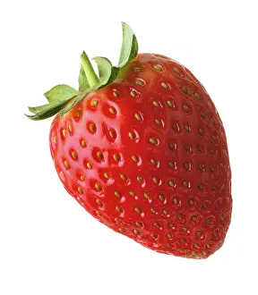 Fragaria: Strawberry