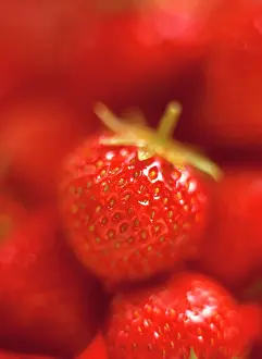 Ananassa: Strawberry
