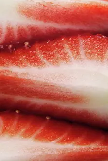 Fragaria: Strawberry