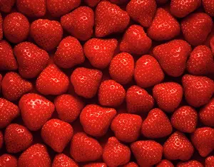 Ananassa: Strawberry