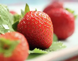 Fragaria: Strawberry