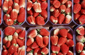 Strawberries: STRAWBERRY - cultivation, punnet