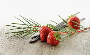 Arranged: Strawberry, Fragaria cultivar arranged with sprigs