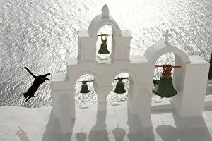 Stray: Stray Cat - jumping