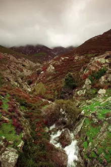 Balagne: Stream