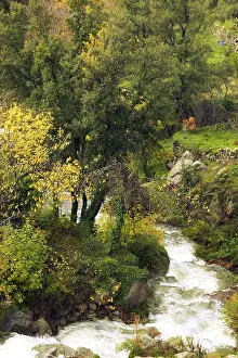 Balagne: Stream