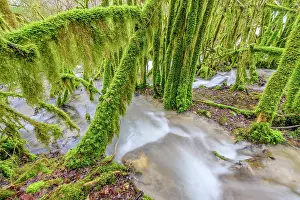 Flood: Stream of Armaille, supplied with water after rainstorms