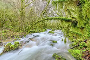 Flood: Stream of Armaille, supplied with water after rainstorms
