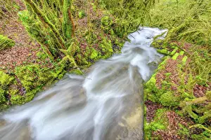 Flood: Stream of Armaille, supplied with water after rainstorms