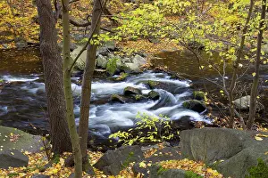 Idyllic: Bode
