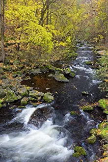 Idyllic: Bode