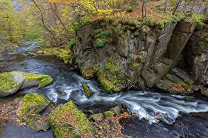 Idyllic: Bode