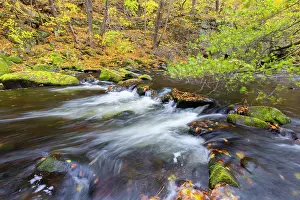 Idyllic: Bode