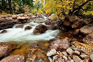 Leafy: Stream cascading down the Rocky Mountains