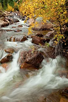 Leafy: Stream cascading down the Rocky Mountains