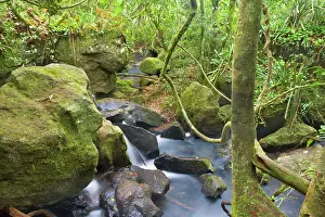 Subtropical: Stream at the foot of Arrechea Falls runs through